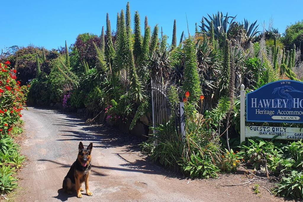 Hotel Hawley House à Port Sorell Extérieur photo