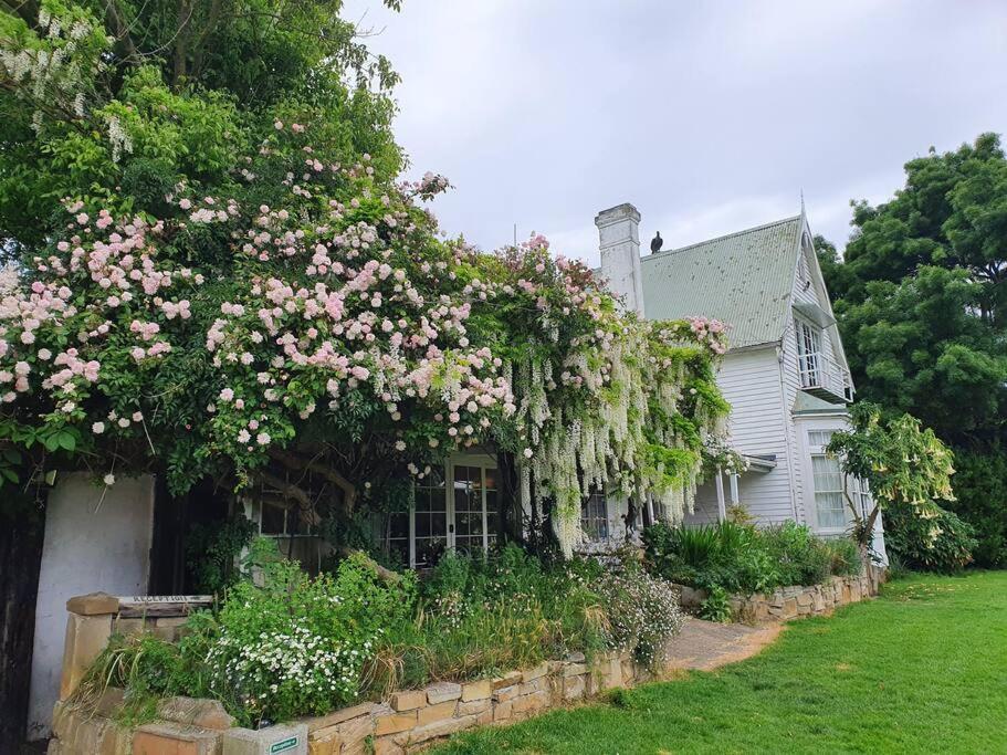 Hotel Hawley House à Port Sorell Extérieur photo