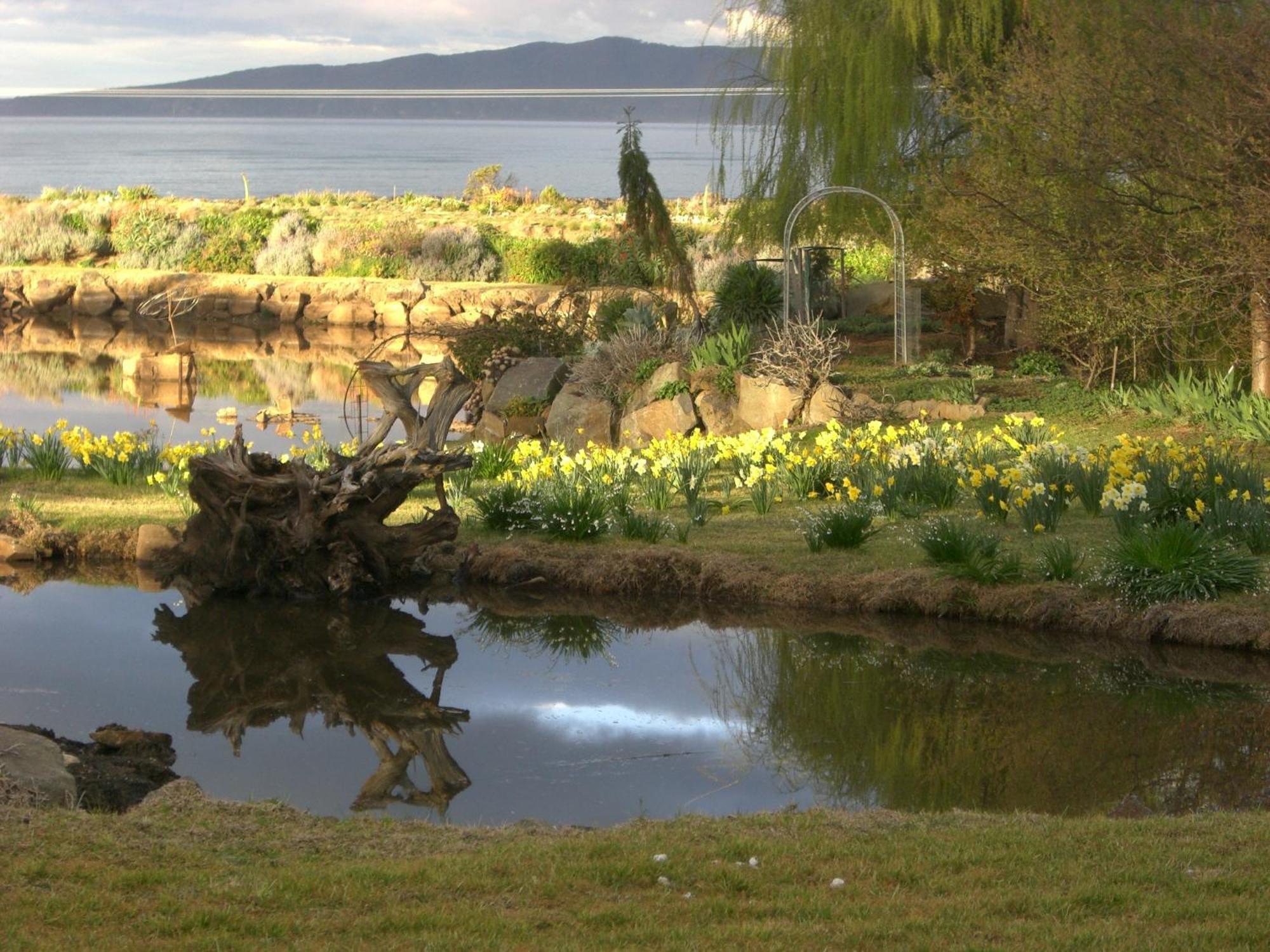 Hotel Hawley House à Port Sorell Extérieur photo